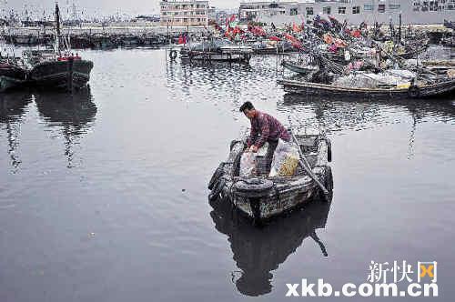 荷兰面临水质污染严峻挑战