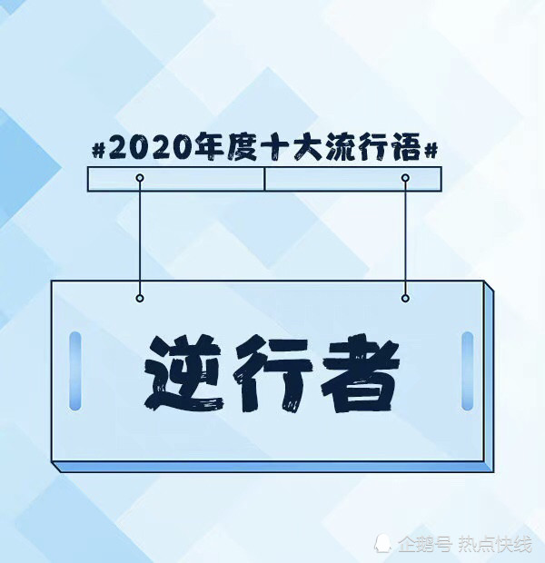 2024年十大流行语解读，流行语背后的社会文化背景，2024年流行语热点讨论，2024年流行语解读分析，流行语反映的社会关注点