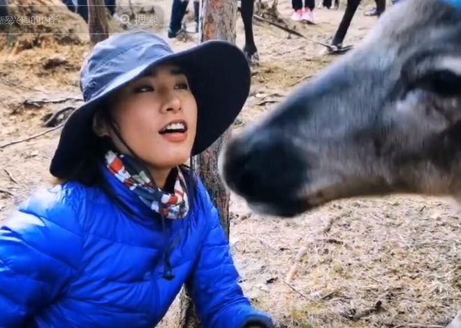 女驴友徒步遭遇马夫猥亵事件，旅游安全问题敲响警钟