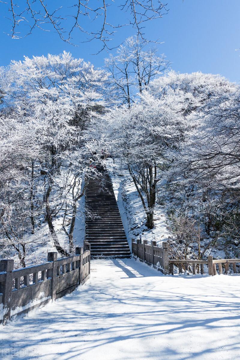 黄山金色雪景惊艳冬日，魔法自然馈赠的独特魅力