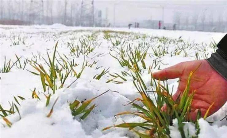 大雪节气，传统与现代的交融生活