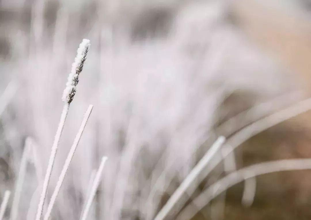 今日大雪节气来临