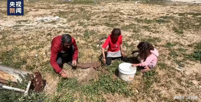 加沙地带粮食危机，挑战与解决方案探索