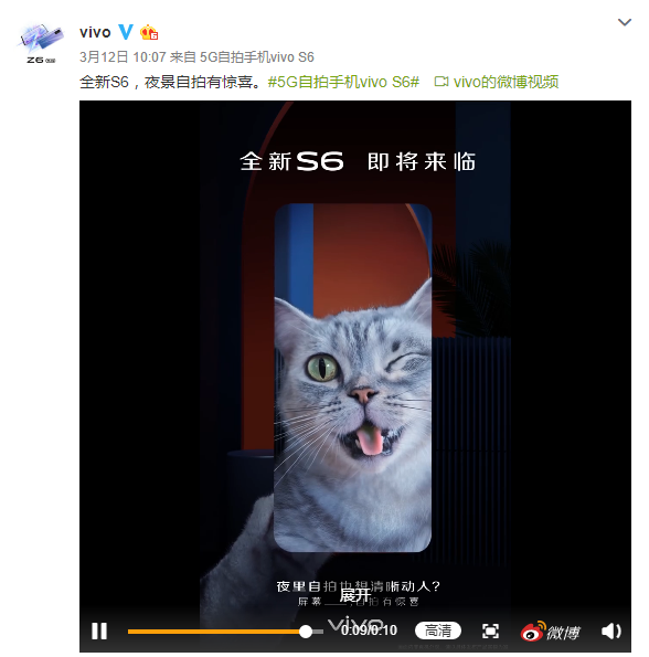 网曝多名年轻人合伙骗领虐猫