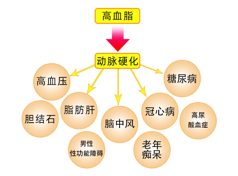 叙利亚被释囚犯询问发生何事