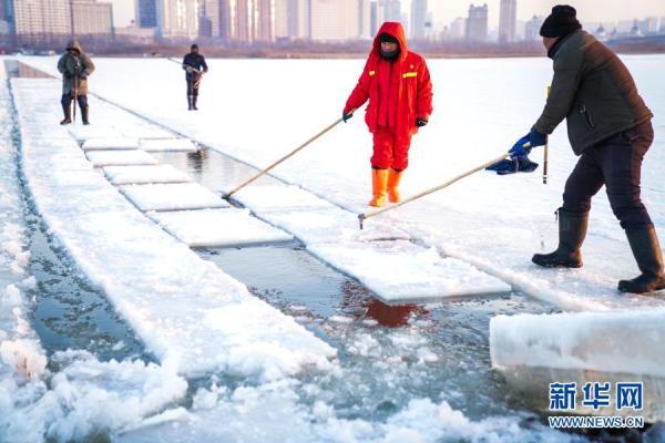 哈尔滨冰雪大世界采冰工作全面启动