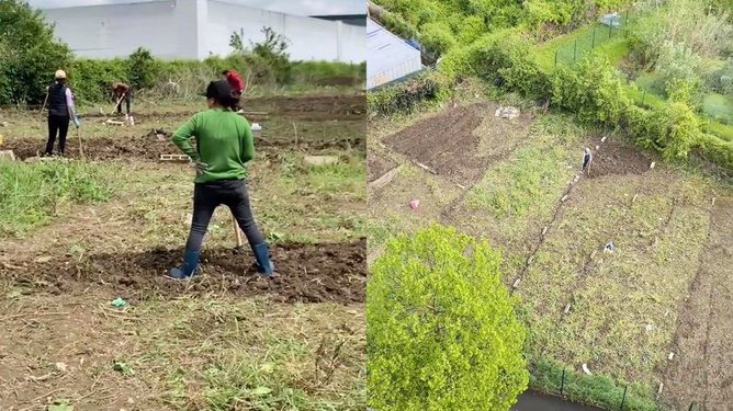 绿色革命跨国篇章，法国市长与中国大姐的荒地种菜情缘