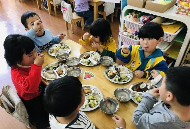 高校遭遇野猪狂奔，安全管理与生态平衡的双重挑战