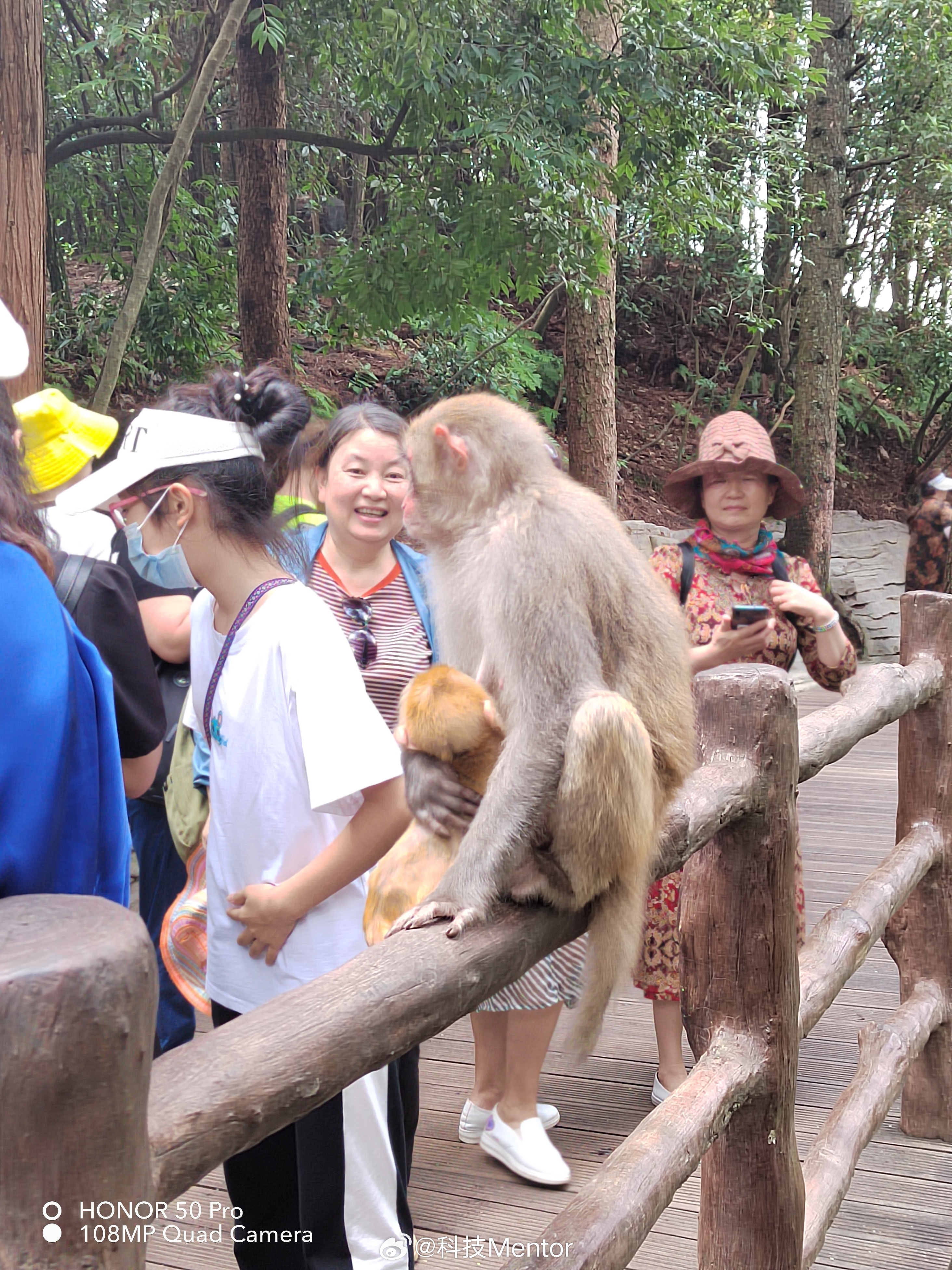 张家界游客与猴子互殴事件引发关注