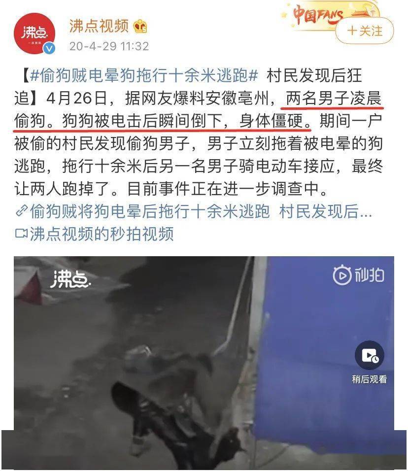 付辛博眼中的颖儿，美丽与努力并存