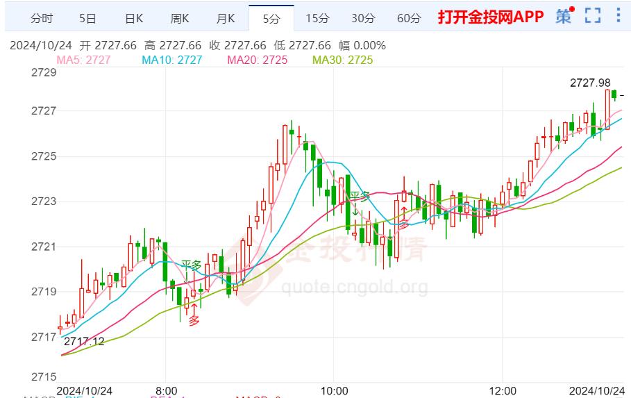 2024年10月金价走势预测与展望，深度分析未来走势