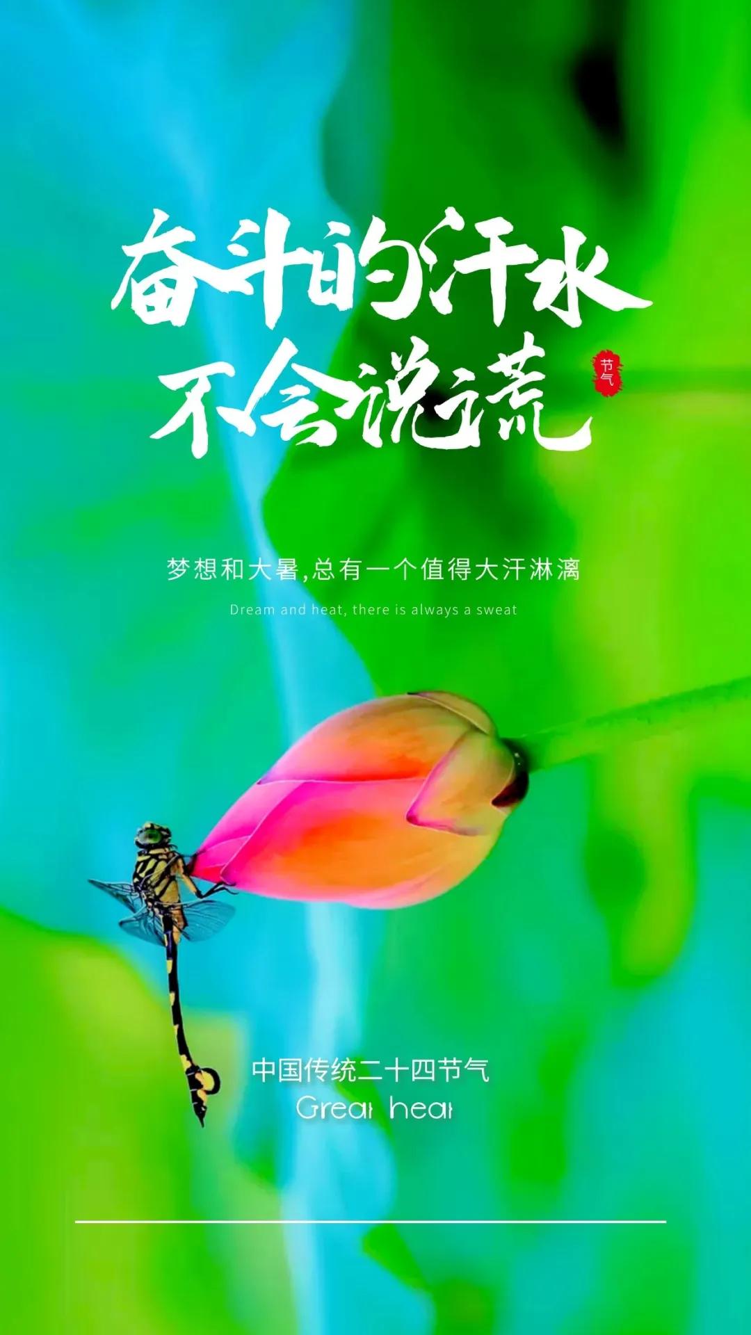 大暑，炽热夏日下的生命盛放之道