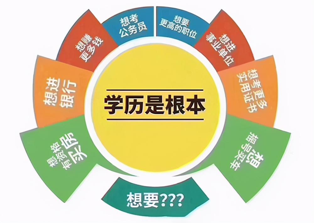 揭秘成人高考成绩查询入口官网，一站式平台助你轻松查分！