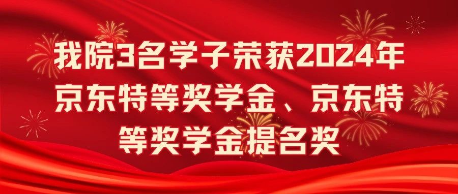 京东金榜2024金奖名单揭晓，荣誉背后的成功故事探寻