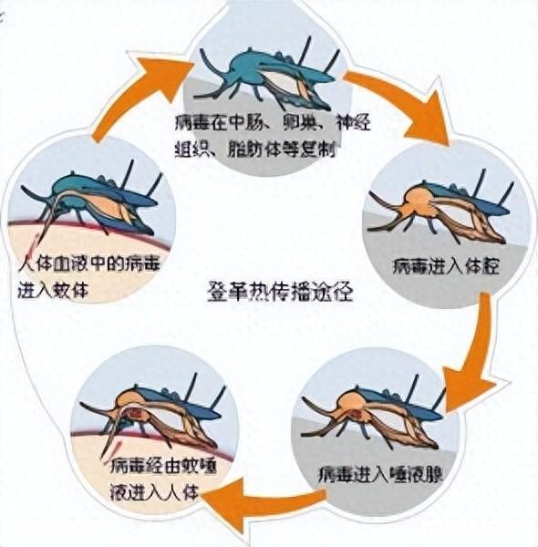 星空探险