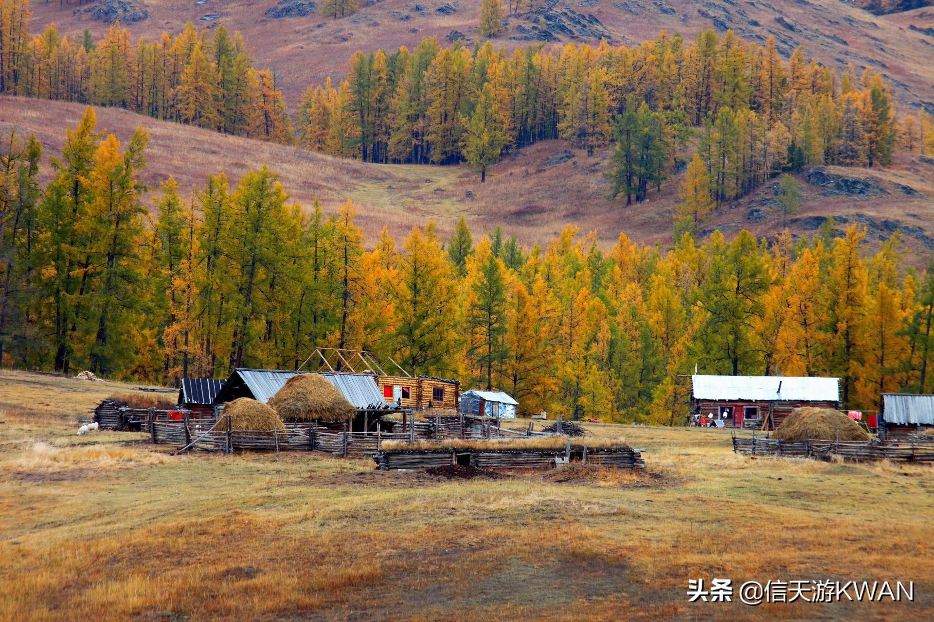 自然与艺术交融，阿勒泰壁纸展现于适之美