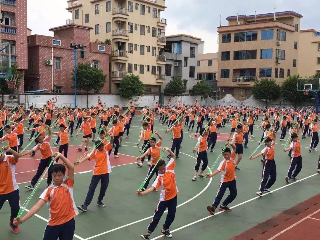 铁人三项的健康顺序揭秘，探寻运动之道与生命之美之旅