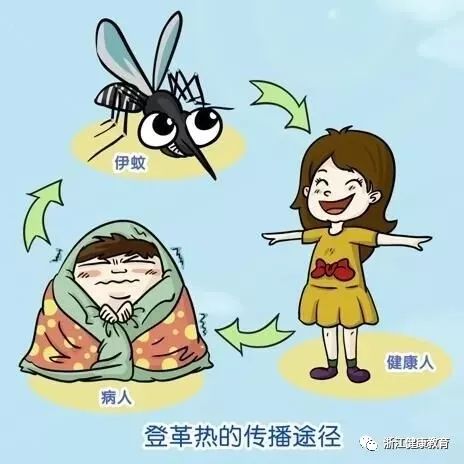 登革热潜伏期解析与防治策略指南