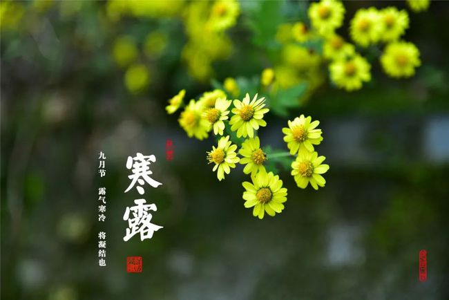 七绝·寒露时节思绪深