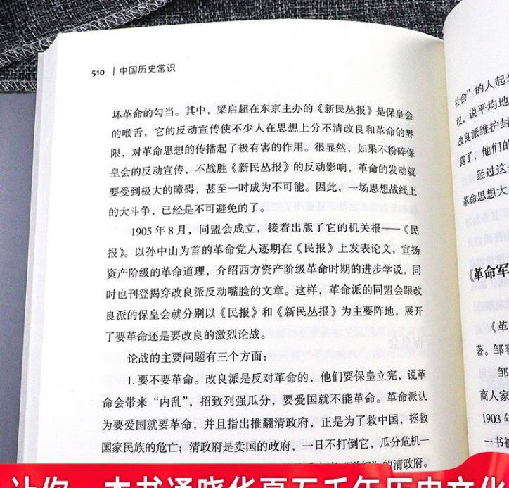 饭圈文化十句精髓，深度解读、反思与启示