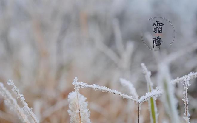 霜降诗意探寻，古诗中的霜降魅力