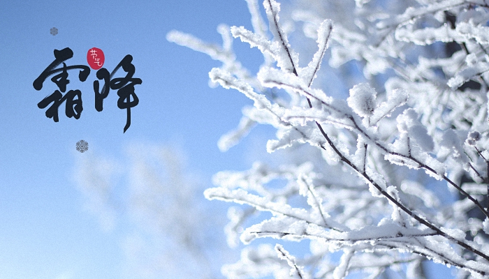 今年霜降时分的诗意与情感涌动