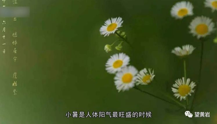 小暑六月节拼音解读及传统文化探索