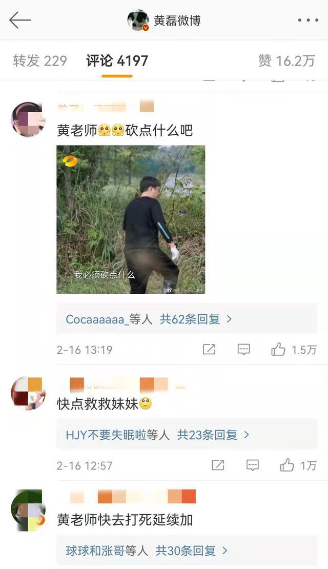 张子枫与黄磊聊天记录揭秘，探寻原图背后的故事