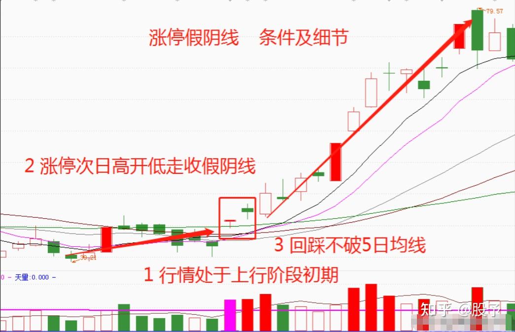 2025年1月28日 第11页