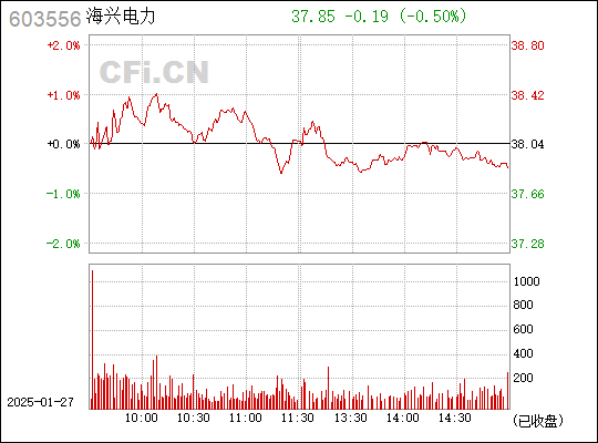 海兴电力，行业翘楚的崛起之路——深度解析603556股吧